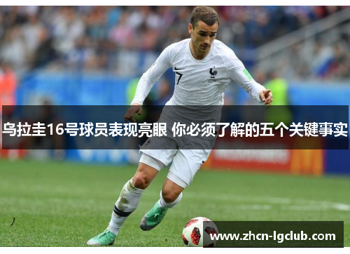 乌拉圭16号球员表现亮眼 你必须了解的五个关键事实