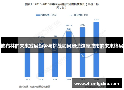 迪布林的未来发展趋势与挑战如何塑造这座城市的未来格局