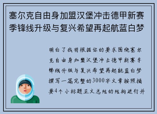 塞尔克自由身加盟汉堡冲击德甲新赛季锋线升级与复兴希望再起航蓝白梦